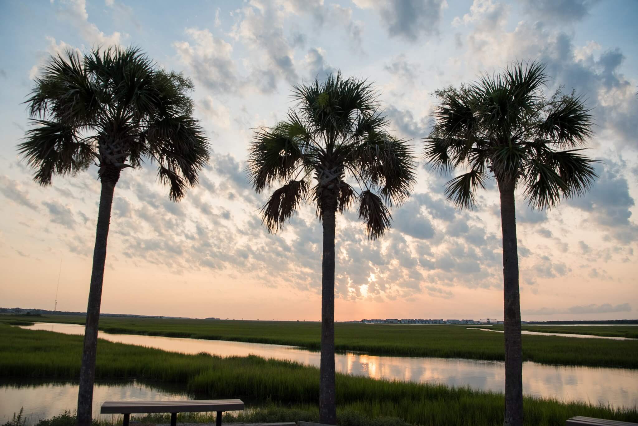 pitt street bridge in charleston sc